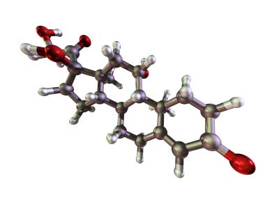 A molecular model of the hormone Hydrocortisone or Cortisol